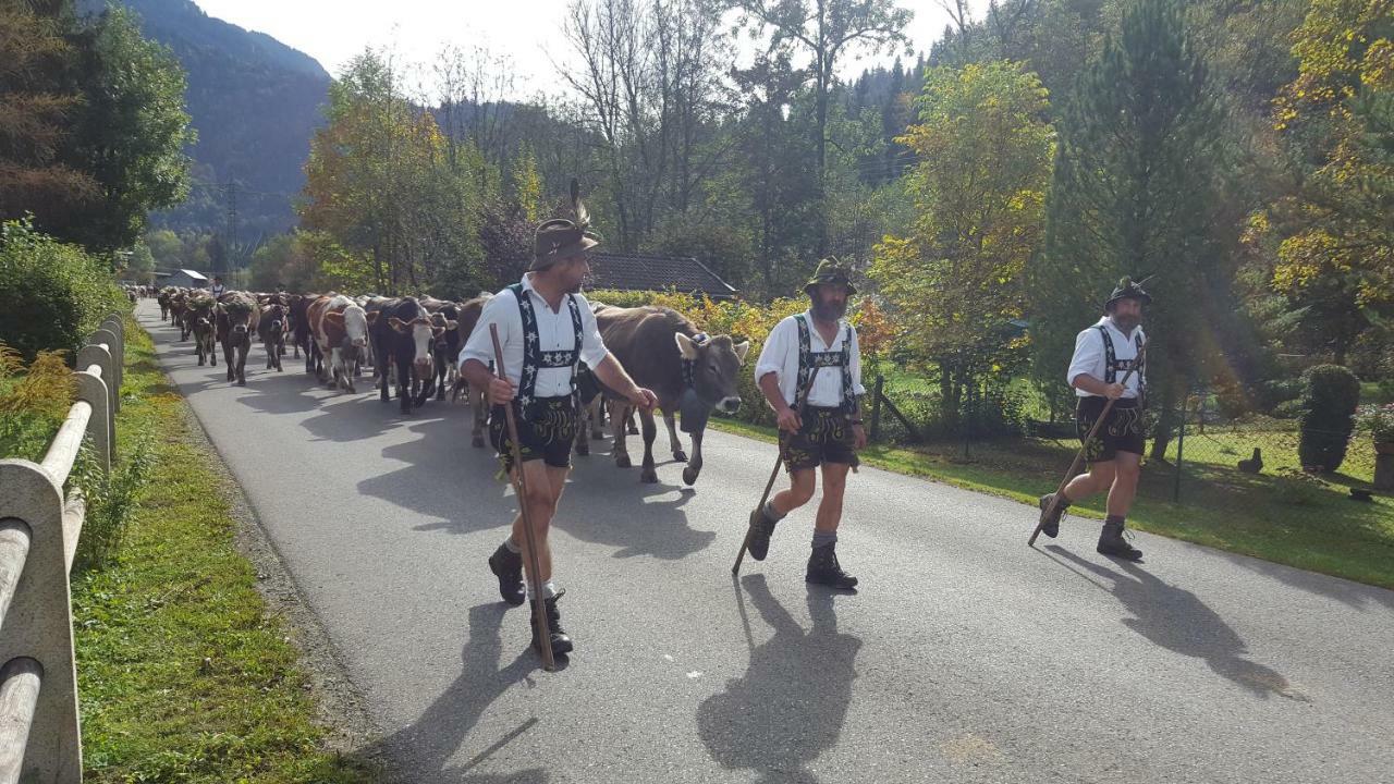 Immenstadt im Allgäu Ferienwohnung Am Eichwald מראה חיצוני תמונה